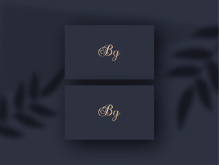 Bg logo design vector image