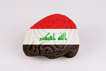 On a white background, a model of the brain with a picture of a flag - Iraq