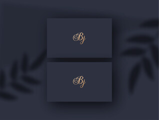 Bj logo design vector image