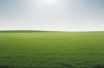 Fototapeta na wymiar green grass field and blue sky isolated