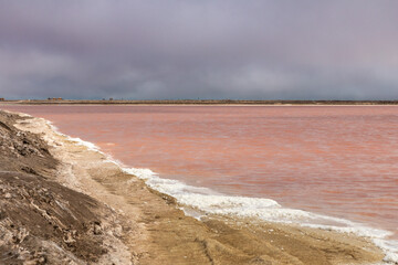 The pink water of a salt flat near Walvis Bay, Namibia, a major exporter of raw salt.