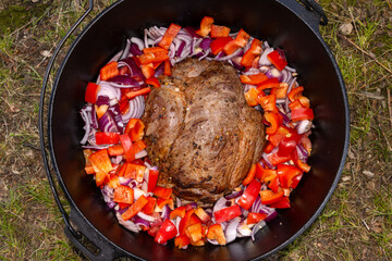 Top view of roast meat with vegetables in an iron cast fire pot, dutch oven cooking.