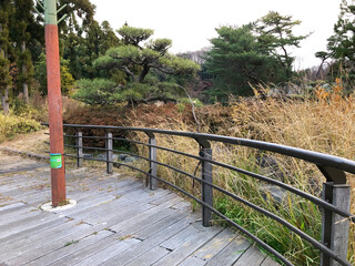 曇り空の冬の階段のある公園