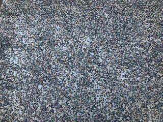 公園のコンクリート砂利道