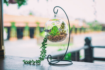 mini garden in glass