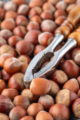 Heap of whole hazelnuts with retro nutcracker closeup on table.