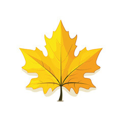 Autumn Maple Yellow Leaf isolated, Vector Illustration