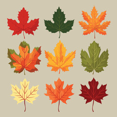 Autumn Leaves Set isolated, Vector Illustration