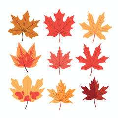 Autumn Leaves Set isolated, Vector Illustration