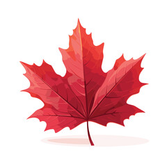 Autumn Maple red Leaf isolated, Vector Illustration