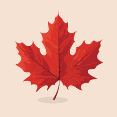 Naklejka na ściany i meble Autumn Maple red Leaf isolated, Vector Illustration