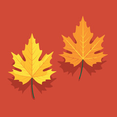 Autumn Maple Red and Yellow Leaves isolated, Vector Illustration