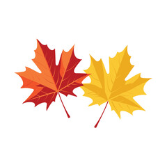 Autumn Maple Red and Yellow Leaves isolated, Vector Illustration