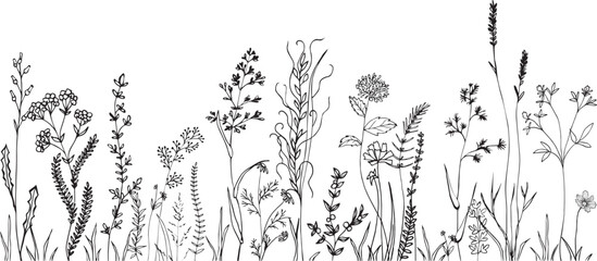Wildflowers and grasses with various insects. Fashion sketch for various design ideas. Monochrom print. - obrazy, fototapety, plakaty