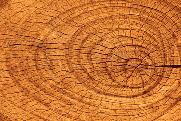 Tree rings saw cut tree trunk background. old, retro aged Wooden background texture. The felled...