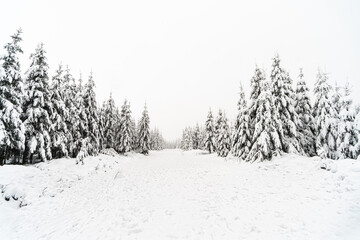 Winter in the High Fens
