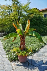 Sumérgete en la magia visual con nuestra fotografía única. Detalles vibrantes y composición excepcional. Eleva tu espacio con arte atemporal © Ferran