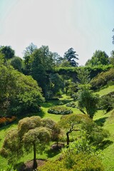 Sumérgete en la magia visual con nuestra fotografía única. Detalles vibrantes y composición excepcional. Eleva tu espacio con arte atemporal © Ferran