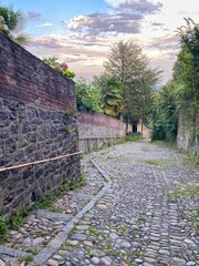 Sumérgete en la magia visual con nuestra fotografía única. Detalles vibrantes y composición excepcional. Eleva tu espacio con arte atemporal © Ferran