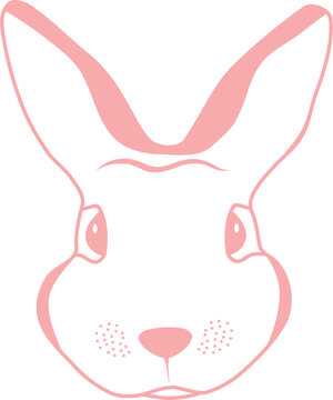 LAPIN ROSE