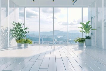 Empty room with white wall on white wooden floor with plant