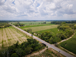 Fototapeta na wymiar papaya and banana corn cultivation near Villavicencio Meta, Colombia