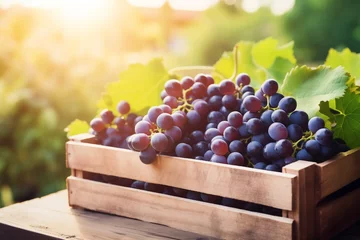 Fotobehang grapes fresh in wooden crate, blurred plantation background © -=RRZMRR=-