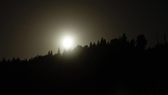 Moon Moves Over Night Forest Trees in Time Lapse at Nature Background in Mountains. Trees Silhouettes In The Foreground