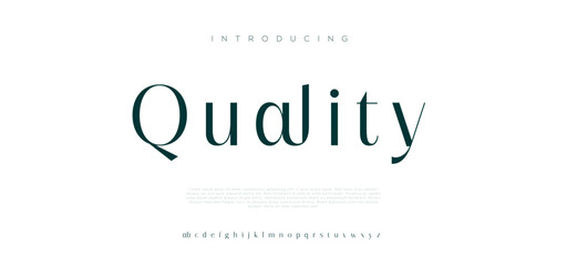 Quality Elegant alphabet letters font and number. Classic Lettering Minimal Fashion Designs. Typography modern serif fonts and numbers. vector illustration
