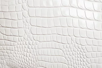 Poster crocodile leather texture of white texture, empty background for design © -=RRZMRR=-