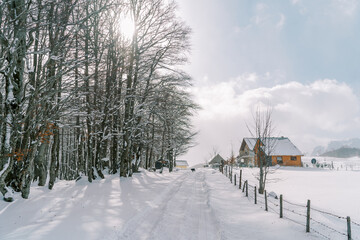 Black dog walks along a snowy road in a small village. Back view