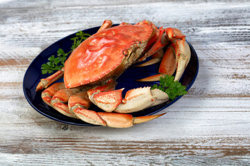 Close up of a large single cooked Dungeness crab inside dark blue plate