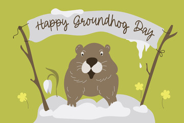  Happy Groundhog Day design with cute groundhog.Web banner, greeting card,poster ,templates