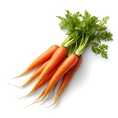 Frische Karotten auf weißem Hintergrund