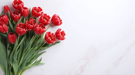 Bouquet of fresh red peony tulips on a white marble background. Copy space, flat lay. Festive background