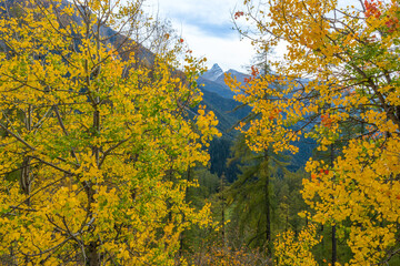 Fall in the Canton of Graub&uuml;nden, Switzerland