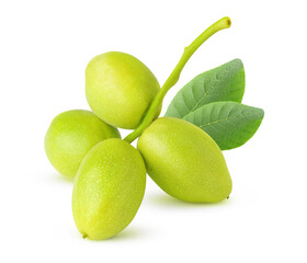 Raw walnuts on a stem with leaves, isolated on white background