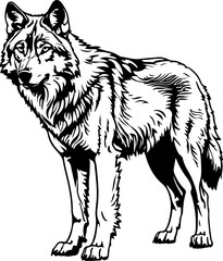 Wolf SVG, Wolf Pack SVG, Great Wolf Lodge SVG, Wolf with Indian Glowforge svg, Howling Wolf svg, Wolf Moon svg, Real Wolf png