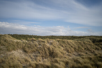 Sand Dunes North Sea