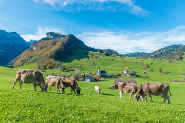 Village of Schwende, Canton Appenzell - Innerrhoden, Switzerland