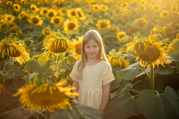 Blonde girl in a field of sunflowers. Summer sunset in a field.
