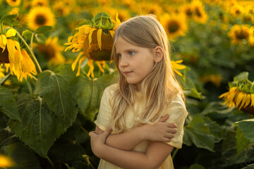 Blonde girl in a field of sunflowers. Summer sunset in the field
