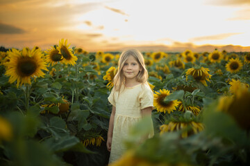 Blonde girl in a field of sunflowers. Summer sunset in a field.
