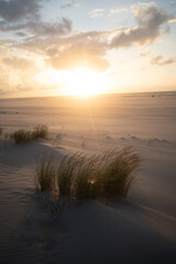 Sand Dunes North Sea Sunset