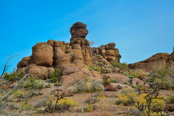 Agava, Yucca and Cacti in a Red Cliffs Mountain Landscape in California