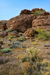 Fototapeta na wymiar Mountain erosion formations of red mountain sandstones, Desert landscape with cacti, Arizona