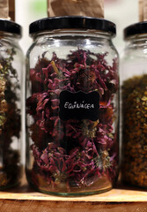 echinacea herb in a container