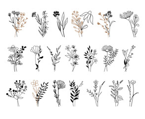 Wildflowers vector illustration, Botanical line arts, hand drawn bouquets of herbs, flowers, leaves and branches