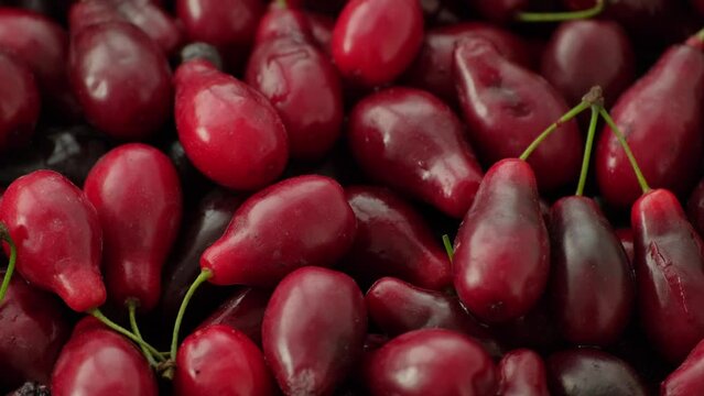 Ripe red cornel background. Dogwood berry close-up. Fresh cornelian cherry berries. Cornelian berry - useful organic dogwood, food, vitamin berry, healthy fruit. Rotating, slow motion, top view, flat 