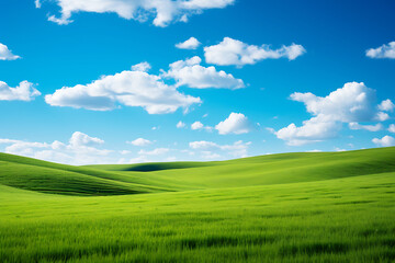 Obraz premium Spring Green Fields and Clear Blue Sky. Horizontal photo
